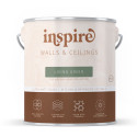 Inspire Wall Paint, Matt Premium Emulsion